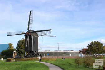 Heusden in de herfst